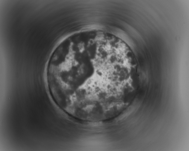 X0000094191055200711161744