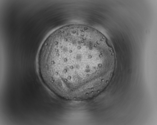 X0000094191056200711161744