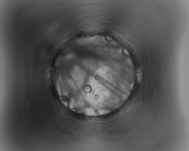 X0000094191059200711161743