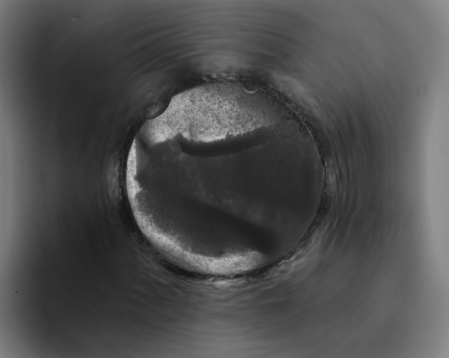 X0000094191060200711161743