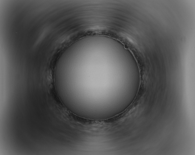 X0000094191062200711161743