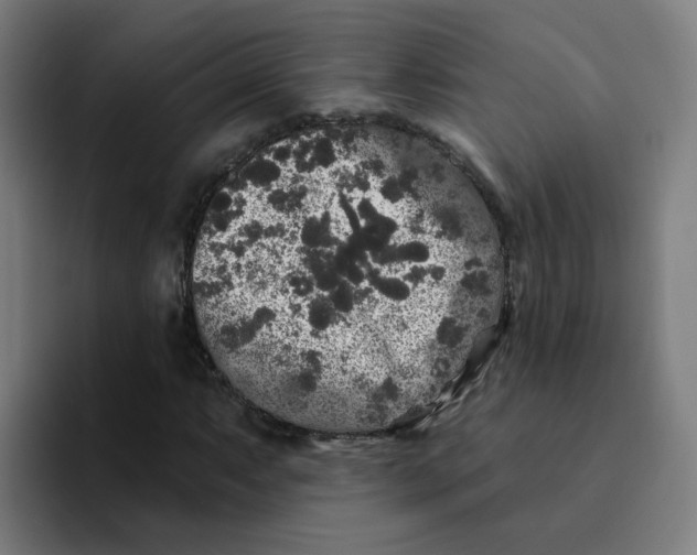 X0000094191063200711161743