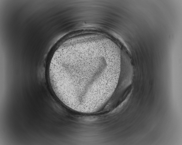 X0000094191066200711161743