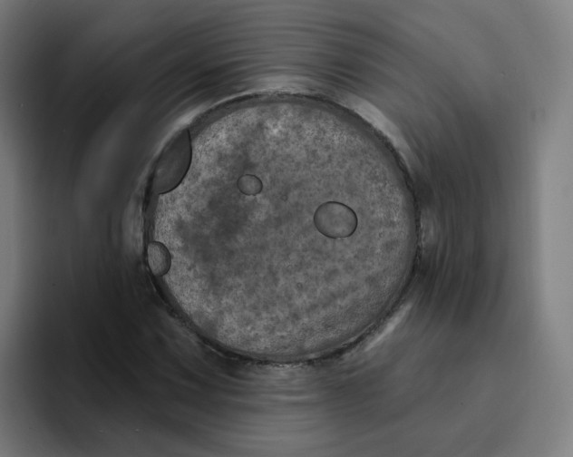 X0000094191067200711161743