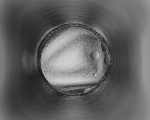 X0000094191068200711161743