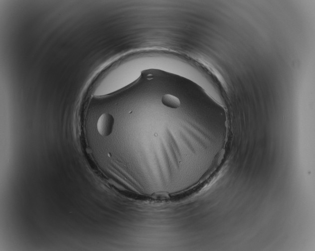 X0000094191069200711161743