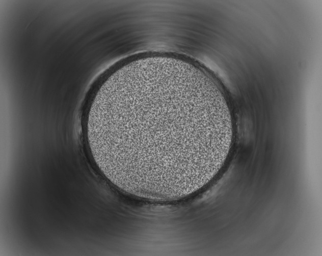 X0000094191070200711161743