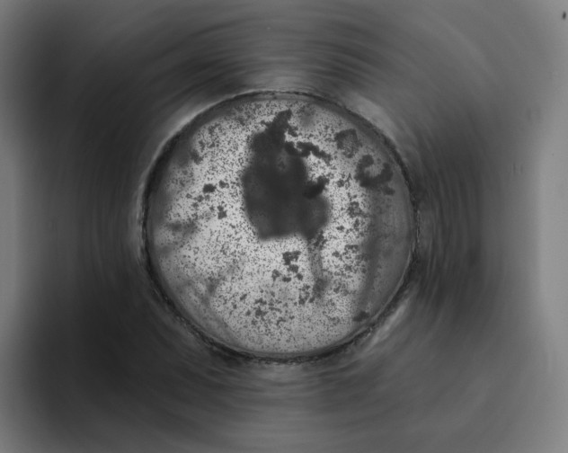 X0000094191071200711161743