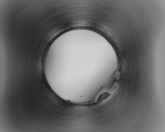 X0000094191073200711161743