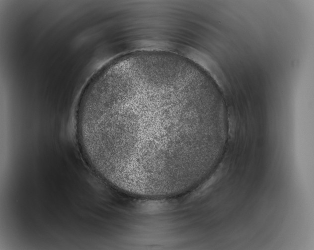 X0000094191074200711161743