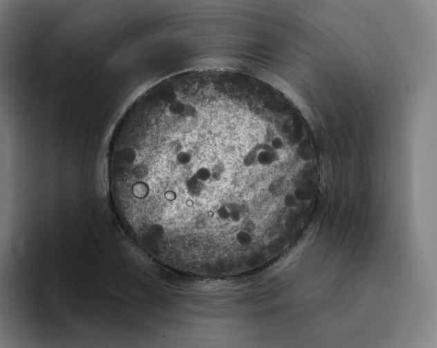 X0000094191075200711161743