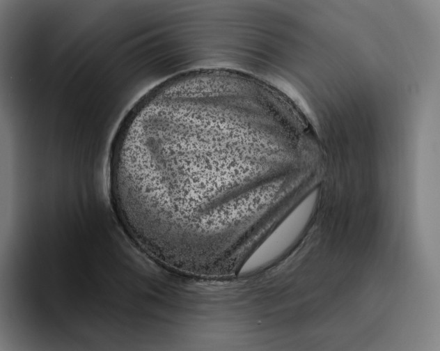 X0000094191076200711161743