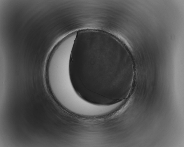 X0000094191077200711161743