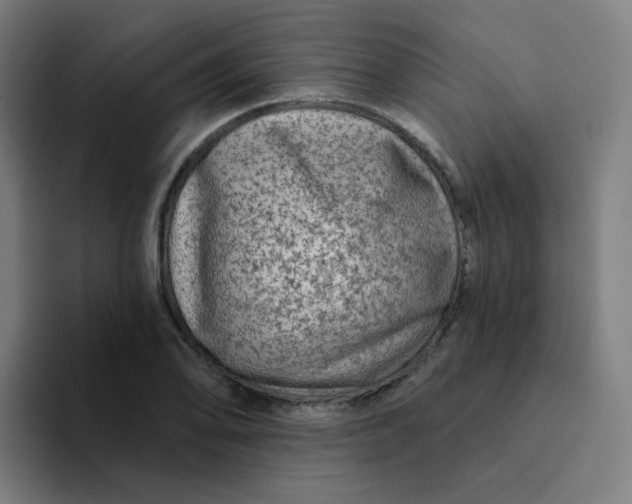 X0000094191078200711161743