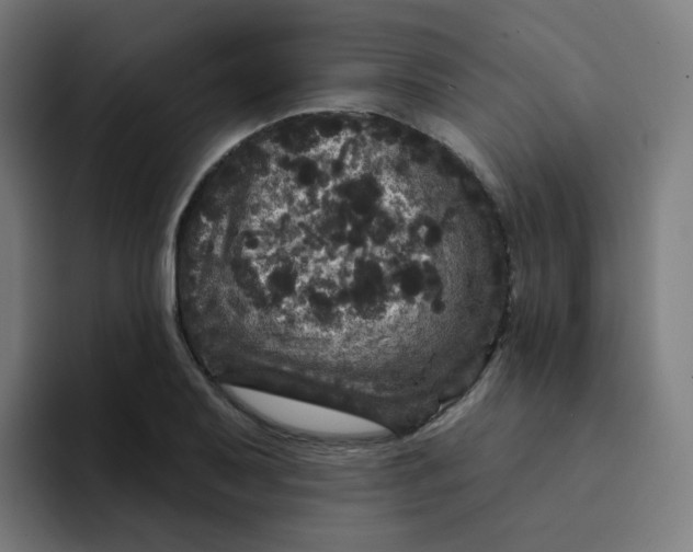 X0000094191079200711161743