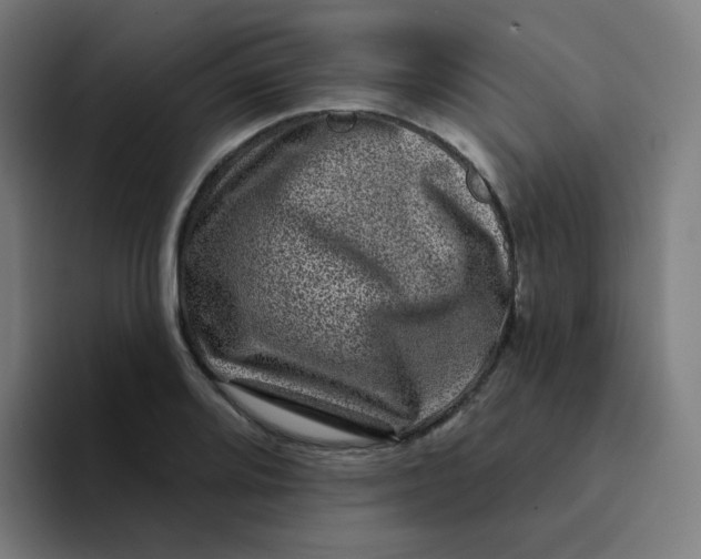 X0000094191080200711161743