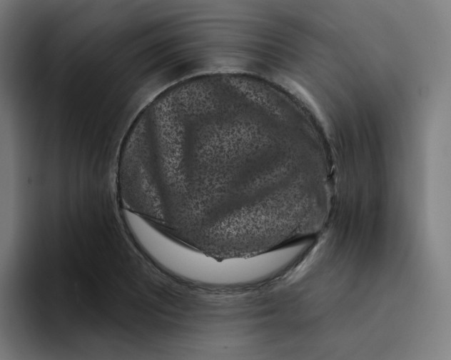 X0000094191081200711161743