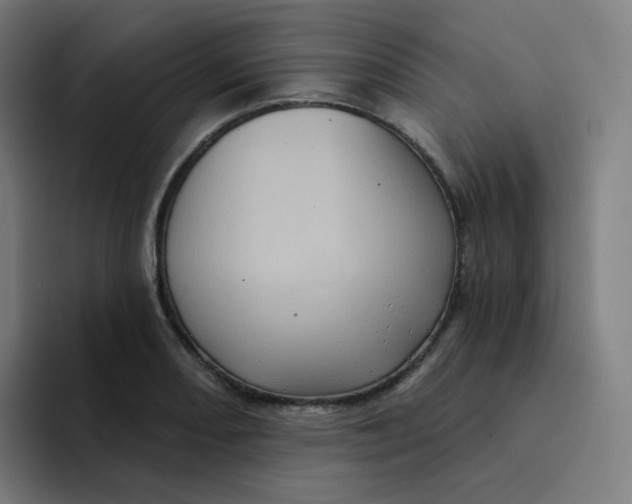 X0000094191082200711161743