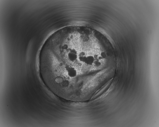 X0000094191083200711161743