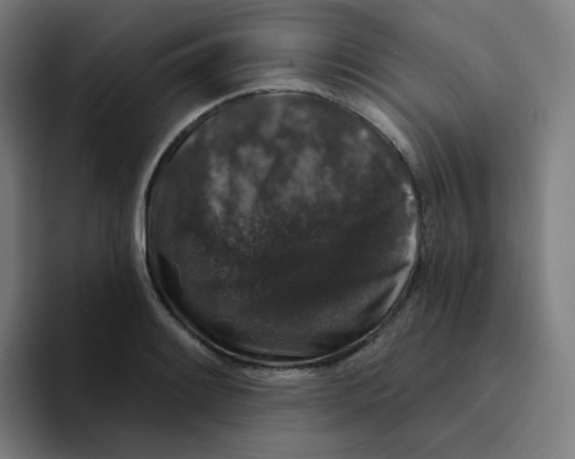 X0000094191084200711161743