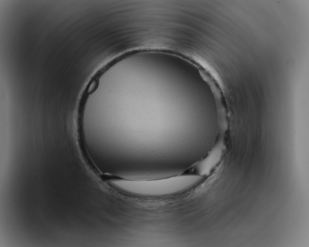 X0000094191085200711161743