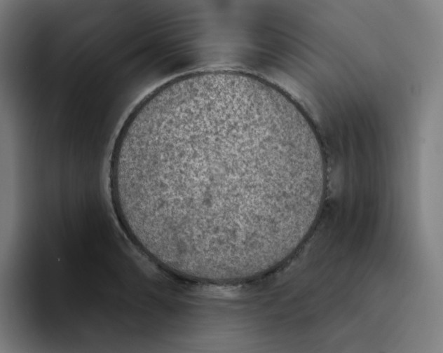 X0000094191086200711161743