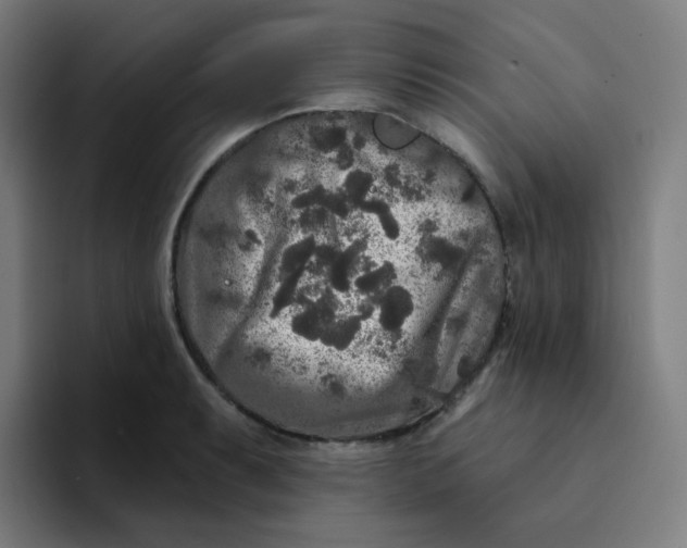 X0000094191087200711161743