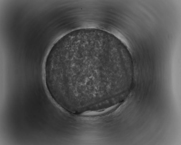 X0000094191088200711161743