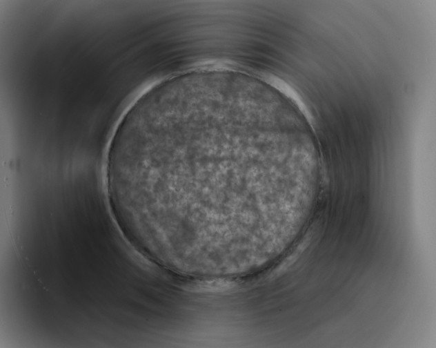 X0000094191090200711161743