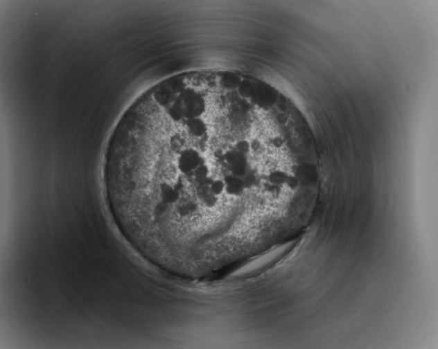 X0000094191091200711161743