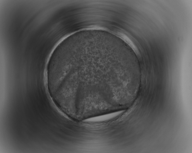 X0000094191092200711161743