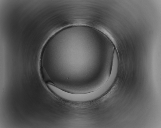 X0000094191093200711161743