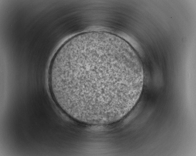 X0000094191094200711161743