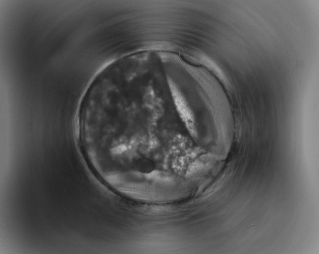 X0000094191095200711161743