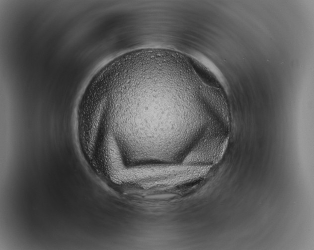 X0000094191096200711161743