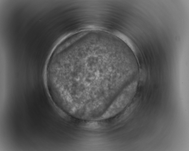 X0000094191098200711161743