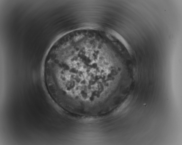 X0000094191099200711161743