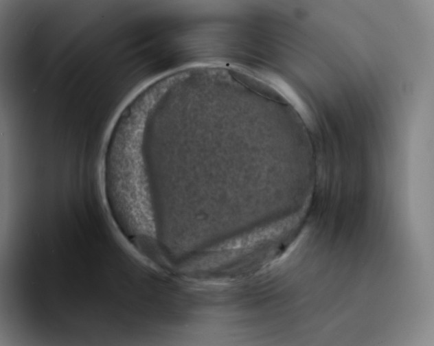 X0000094191100200711161743