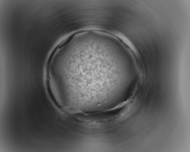 X0000094191101200711161743