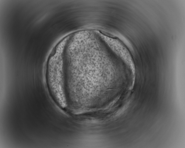 X0000094191102200711161743