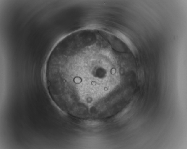 X0000094191103200711161743