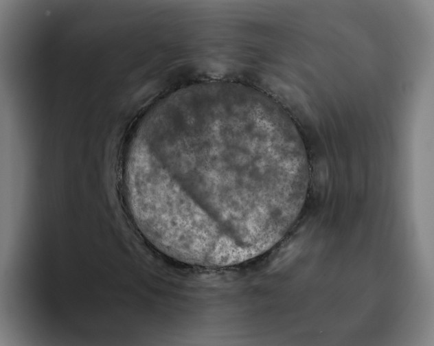 X0000094191105200711161742