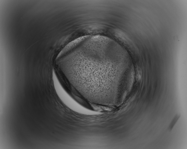 X0000094191108200711161742