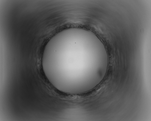 X0000094191109200711161742