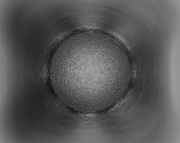 X0000094191110200711161742