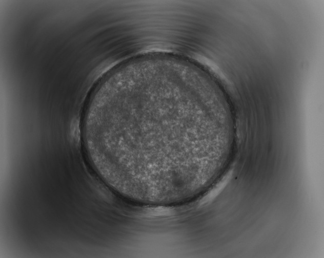 X0000094191113200711161742