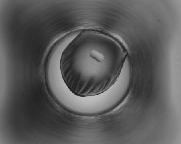 X0000094191114200711161742