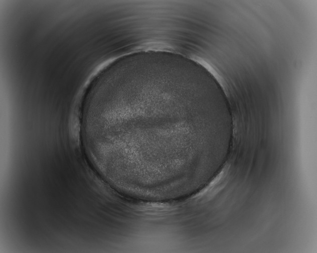 X0000094191115200711161742