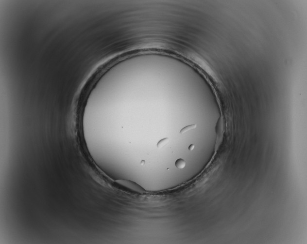 X0000094191116200711161742