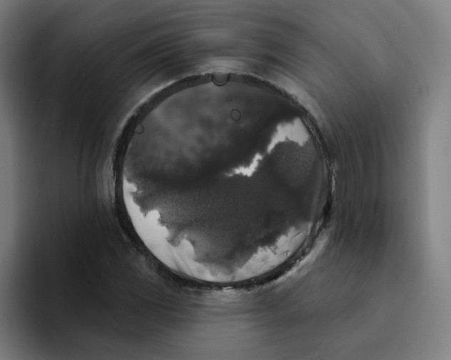 X0000094191117200711161742